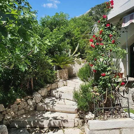 Apartment Jerkovic Drasnice-3bd
